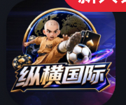 纵横国际
